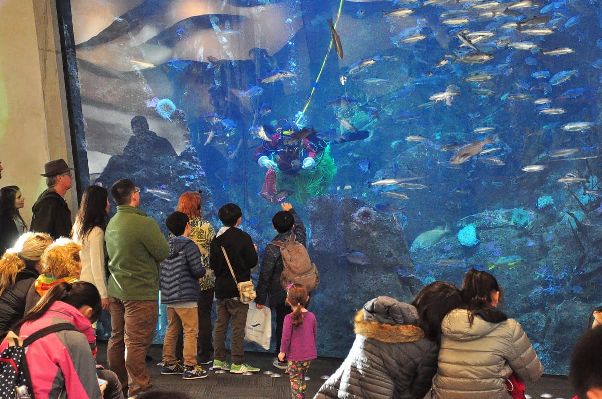 Free or low cost Seattle Aquarium tickets for low families