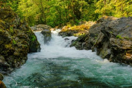 Salmon spawning season in Western Washington (greaterseattleonthecheap.com)