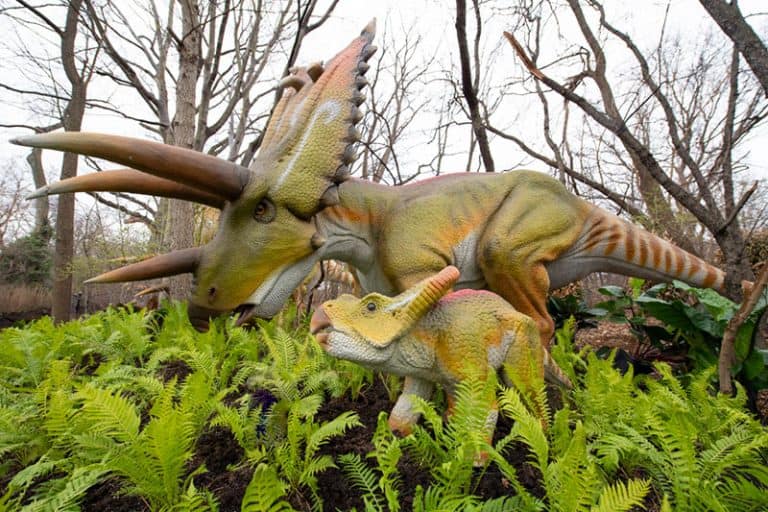 dinosaurs at woodland park zoo