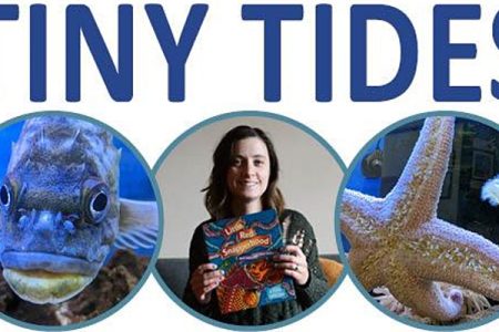 Banner for Tiny Tides Storytime by Puget Sound Estuarium