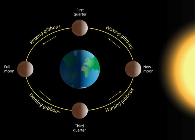 Lunar (moon) phases as it orbits earth 